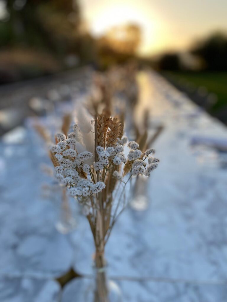 Colle-Serrano-Matrimoni-Eventi-18